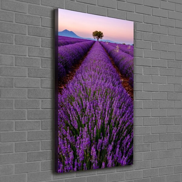 Vertikální Foto obraz canvas Pole levandule ocv-117192930