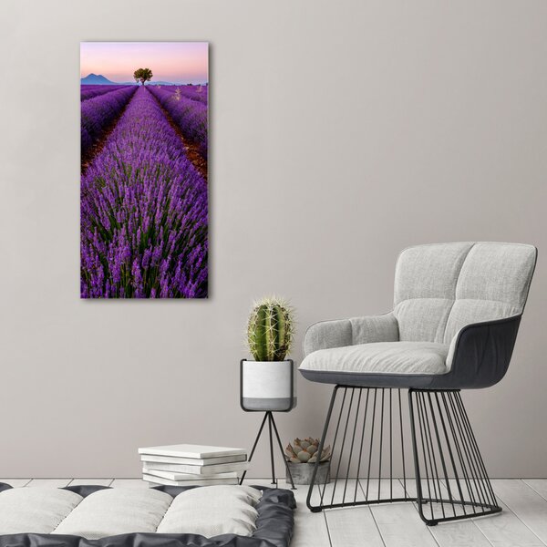 Vertikální Foto obraz canvas Pole levandule ocv-117192930