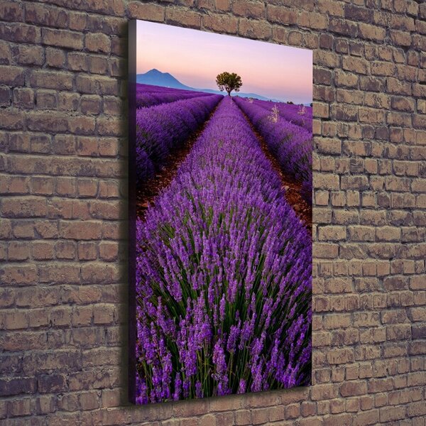 Vertikální Foto obraz canvas Pole levandule ocv-117192930