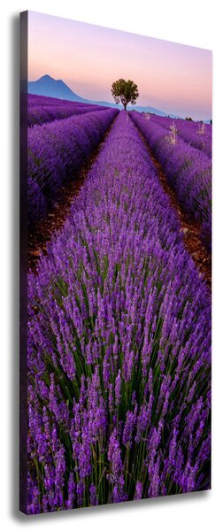 Vertikální Foto obraz canvas Pole levandule ocv-117192930