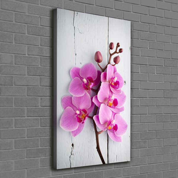 Vertikální Foto obraz na plátně Růžová orchidej ocv-118409675