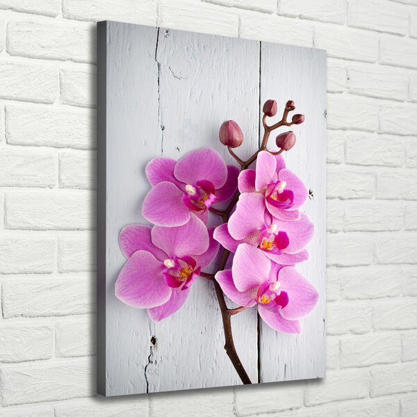 Vertikální Foto obraz na plátně Růžová orchidej ocv-118409675