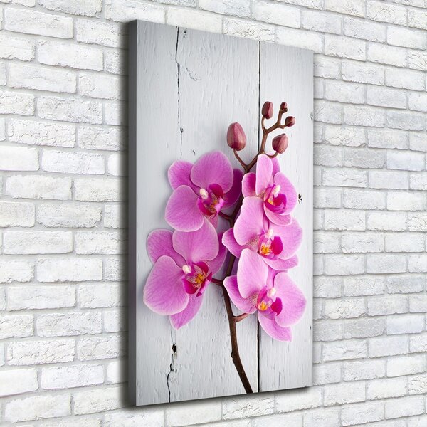 Vertikální Foto obraz na plátně Růžová orchidej ocv-118409675