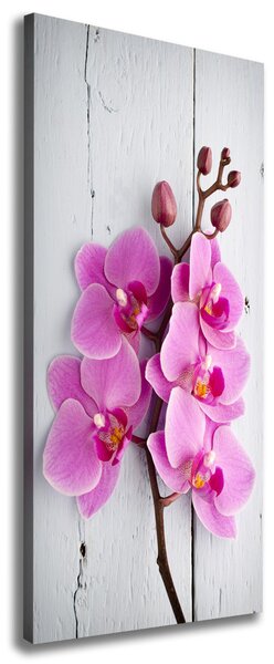Vertikální Foto obraz na plátně Růžová orchidej ocv-118409675