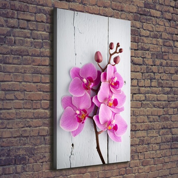 Vertikální Foto obraz na plátně Růžová orchidej ocv-118409675