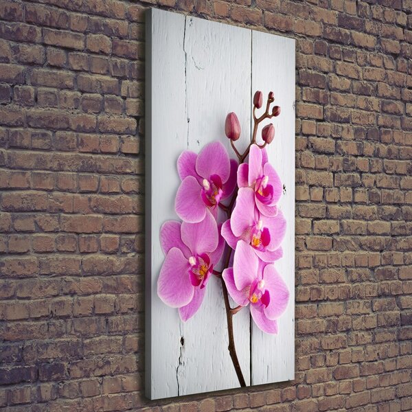 Vertikální Foto obraz na plátně Růžová orchidej ocv-118409675