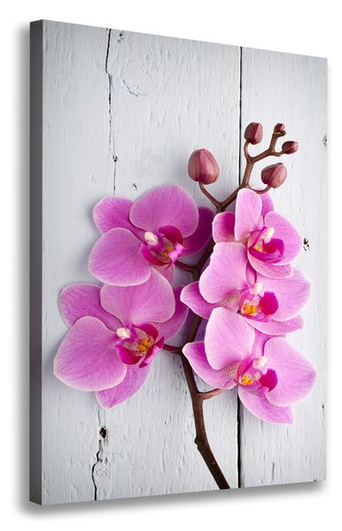 Vertikální Foto obraz na plátně Růžová orchidej ocv-118409675