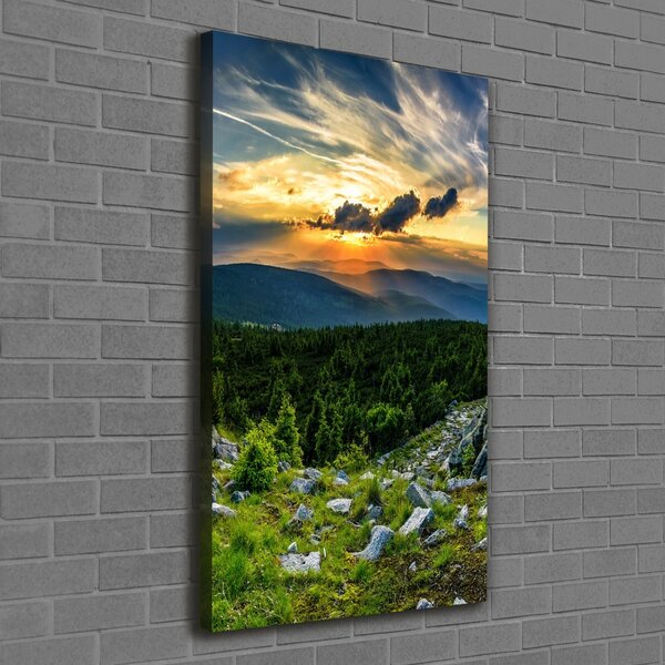 Vertikální Foto obraz canvas Panorama hor ocv-118999415