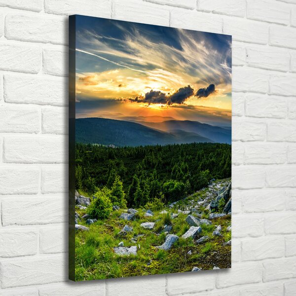 Vertikální Foto obraz canvas Panorama hor ocv-118999415