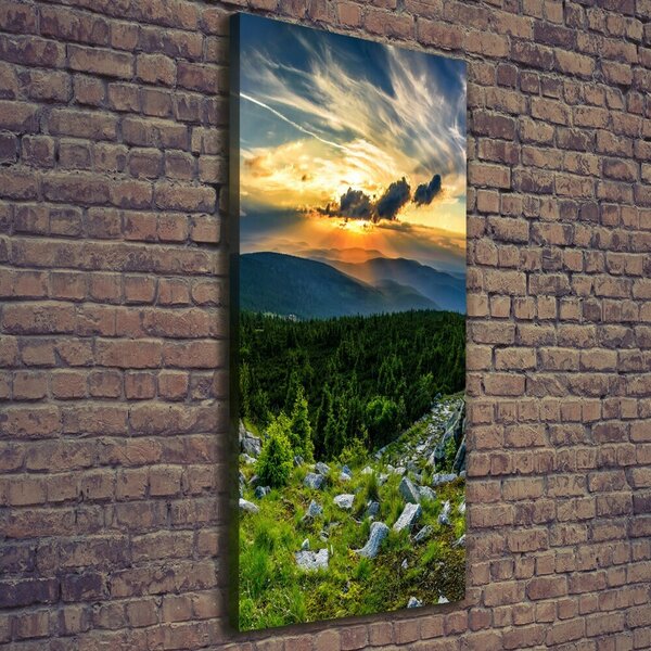Vertikální Foto obraz canvas Panorama hor ocv-118999415
