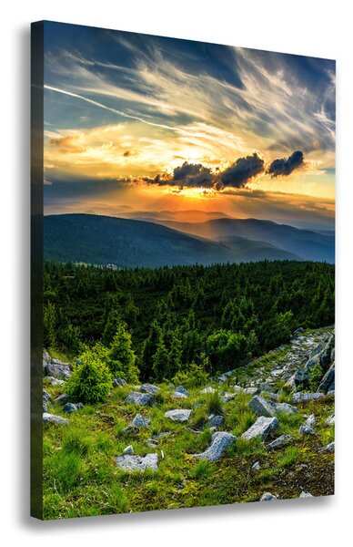 Vertikální Foto obraz canvas Panorama hor ocv-118999415