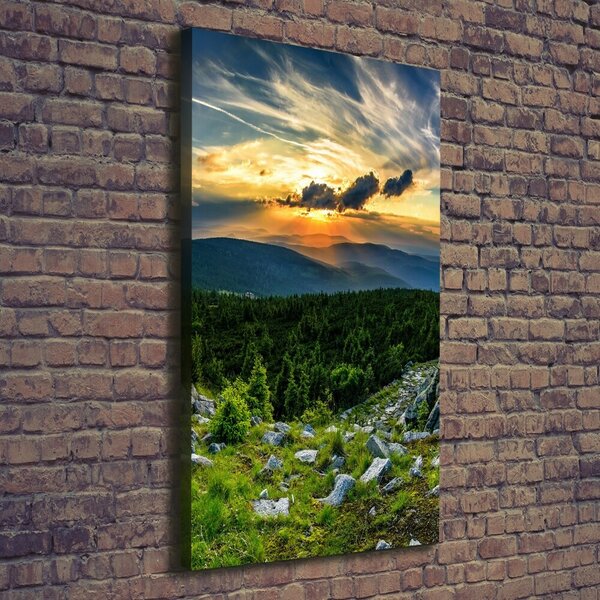 Vertikální Foto obraz canvas Panorama hor ocv-118999415