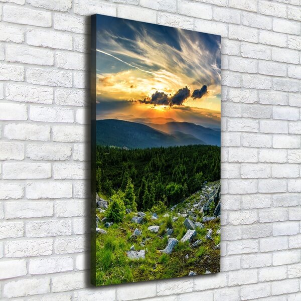 Vertikální Foto obraz canvas Panorama hor ocv-118999415