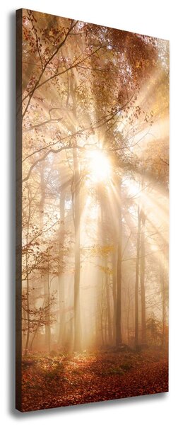 Vertikální Foto obraz canvas Les na podzim ocv-119225469
