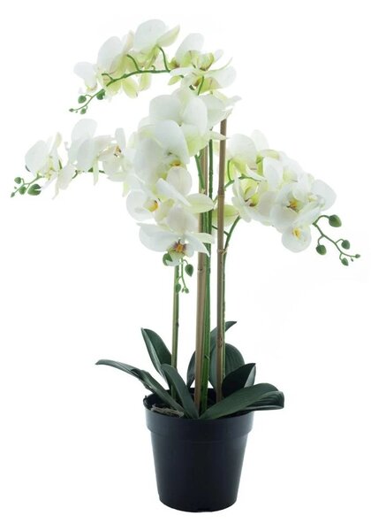 Umělá bílá orchidej 60 cm – v květináči - Bílá - 51 - 70 cm