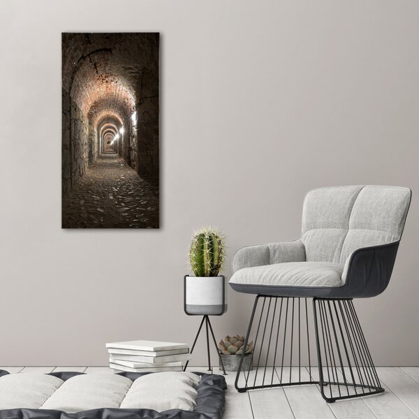 Vertikální Moderní obraz canvas na rámu Sklepy ocv-1199556