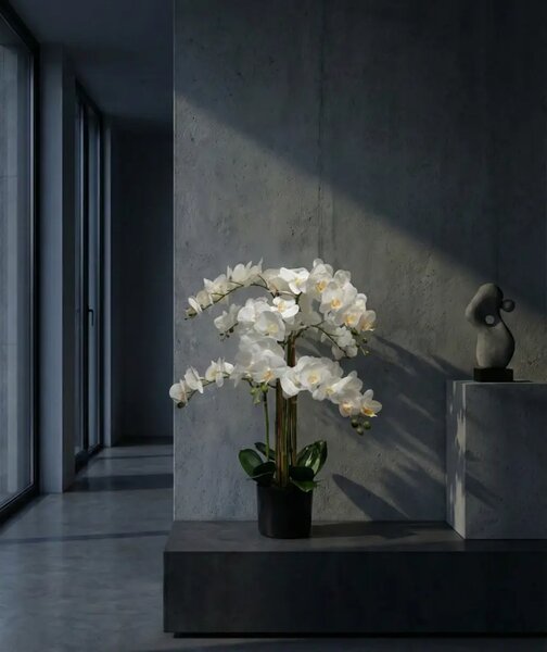 Umělá orchidej bílá 80 cm Lia - Bílá - 71 - 90 cm