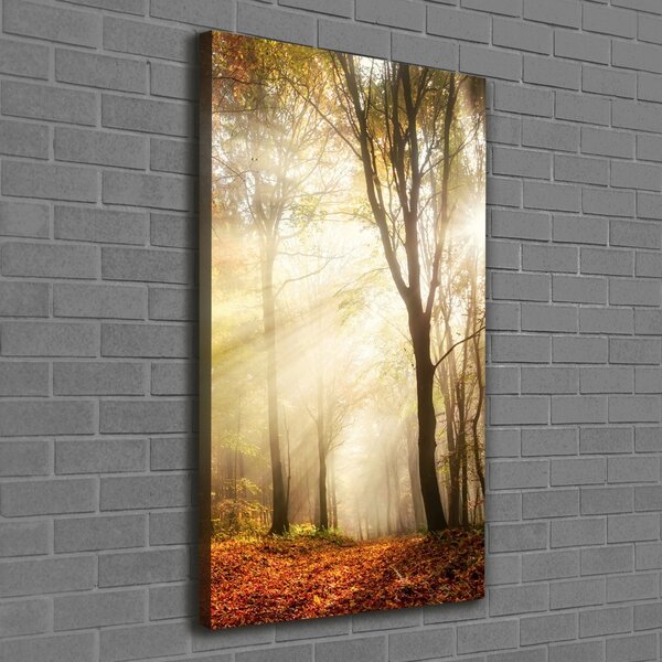 Vertikální Foto obraz canvas Les na podzim ocv-120624836