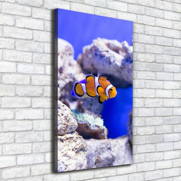 Vertikální Vertikální Foto obraz na plátně do obýváku Ryba Nemo ocv-120479478