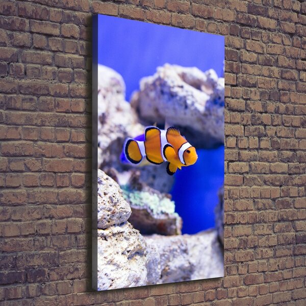 Vertikální Vertikální Foto obraz na plátně do obýváku Ryba Nemo ocv-120479478