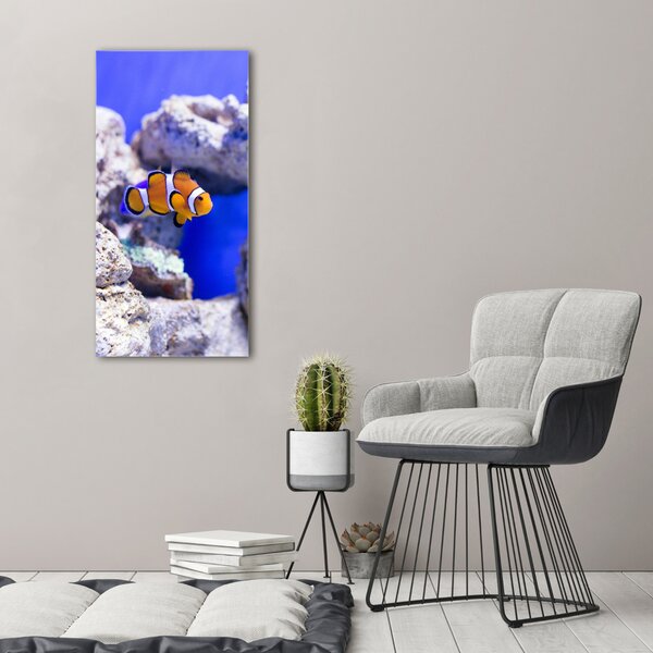 Vertikální Vertikální Foto obraz na plátně do obýváku Ryba Nemo ocv-120479478