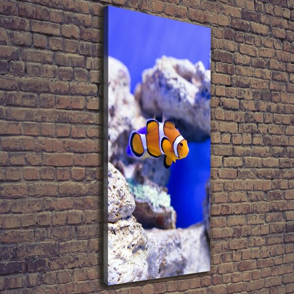Vertikální Vertikální Foto obraz na plátně do obýváku Ryba Nemo ocv-120479478