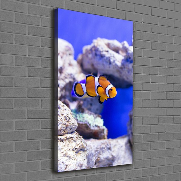 Vertikální Vertikální Foto obraz na plátně do obýváku Ryba Nemo ocv-120479478