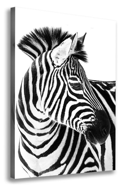 Vertikální Foto obraz na plátně Zebra na sněhu ocv-121577688