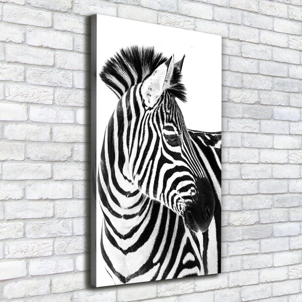 Vertikální Foto obraz na plátně Zebra na sněhu ocv-121577688