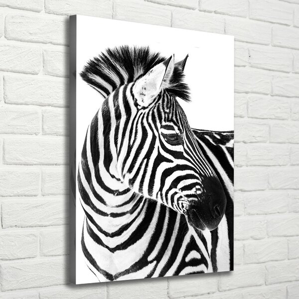 Vertikální Foto obraz na plátně Zebra na sněhu ocv-121577688