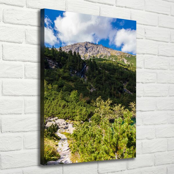 Vertikální Foto obraz na plátně Mořské oko Tatry ocv-121923797