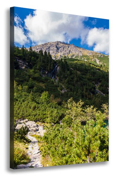 Vertikální Foto obraz na plátně Mořské oko Tatry ocv-121923797
