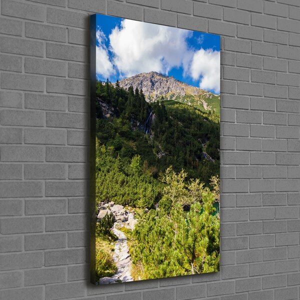 Vertikální Foto obraz na plátně Mořské oko Tatry ocv-121923797