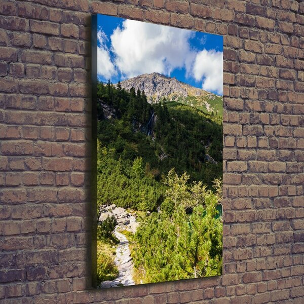Vertikální Foto obraz na plátně Mořské oko Tatry ocv-121923797