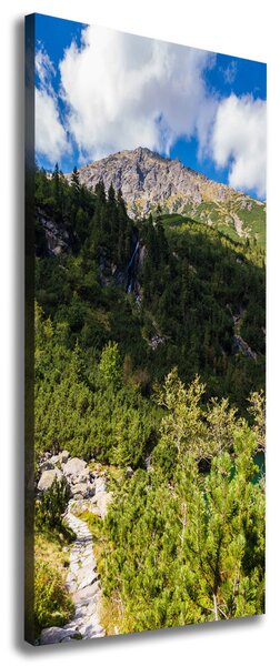 Vertikální Foto obraz na plátně Mořské oko Tatry ocv-121923797