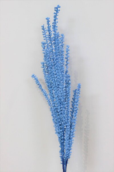 Modrá pěnová tráva s bobulkami 80cm