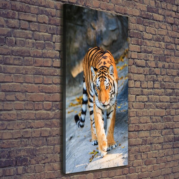 Vertikální Moderní fotoobraz canvas na rámu Tygr ocv-122340685