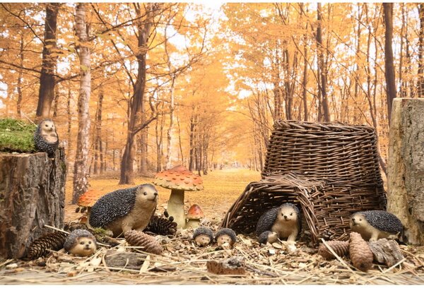 Polyresinová zahradní soška Hedgehog – Esschert Design