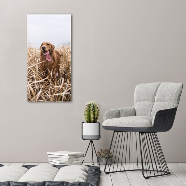 Vertikální Foto obraz na plátně Golden retriever ocv-122552617