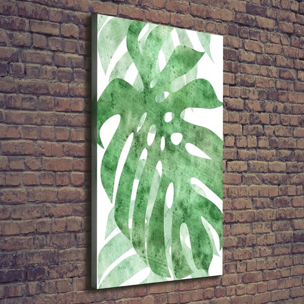 Vertikální Vertikální Foto obraz na plátně do obýváku Monstera ocv-124503131