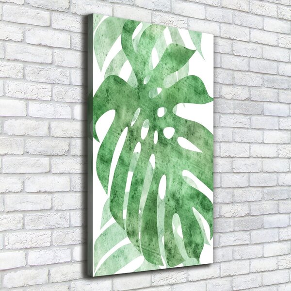 Vertikální Vertikální Foto obraz na plátně do obýváku Monstera ocv-124503131
