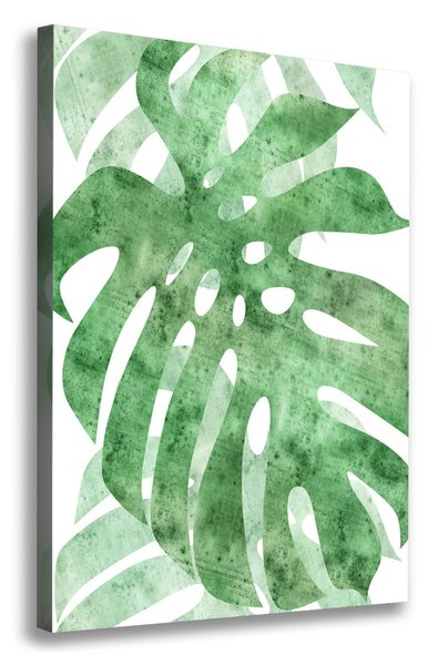 Vertikální Vertikální Foto obraz na plátně do obýváku Monstera ocv-124503131