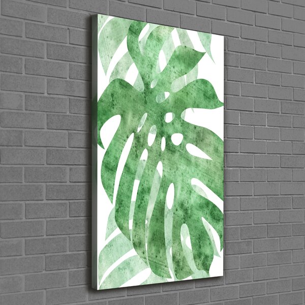 Vertikální Vertikální Foto obraz na plátně do obýváku Monstera ocv-124503131