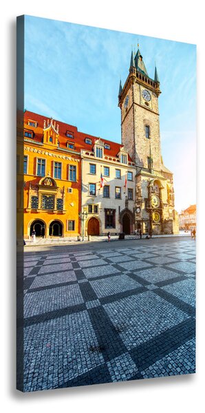 Vertikální Foto obraz canvas Praha Česká republika ocv-125214960