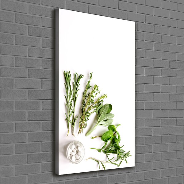 Vertikální Foto obraz tištěný na plátně Bylinky ocv-125344831
