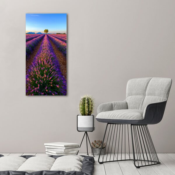 Vertikální Foto obraz canvas Pole levandule ocv-125992603
