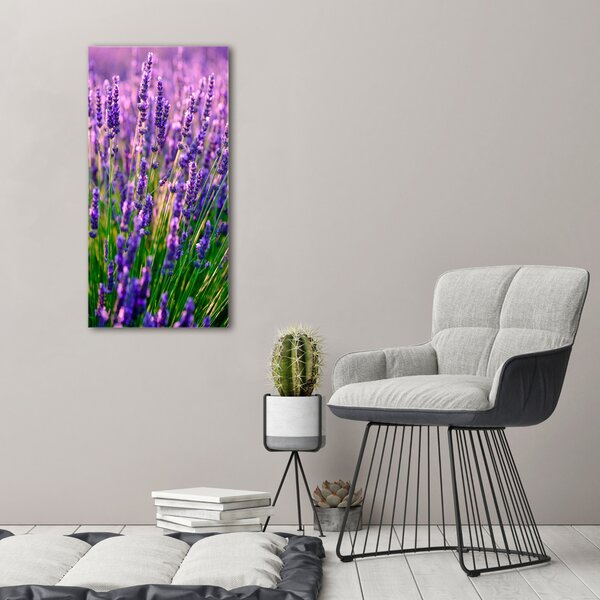 Vertikální Foto obraz canvas Pole levandule ocv-125992739
