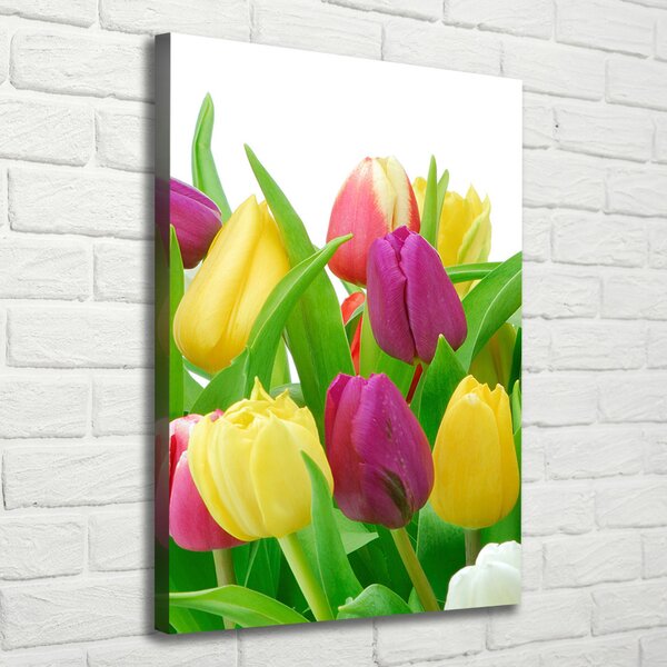 Vertikální Foto obraz na plátně Barevné tulipány ocv-12652067