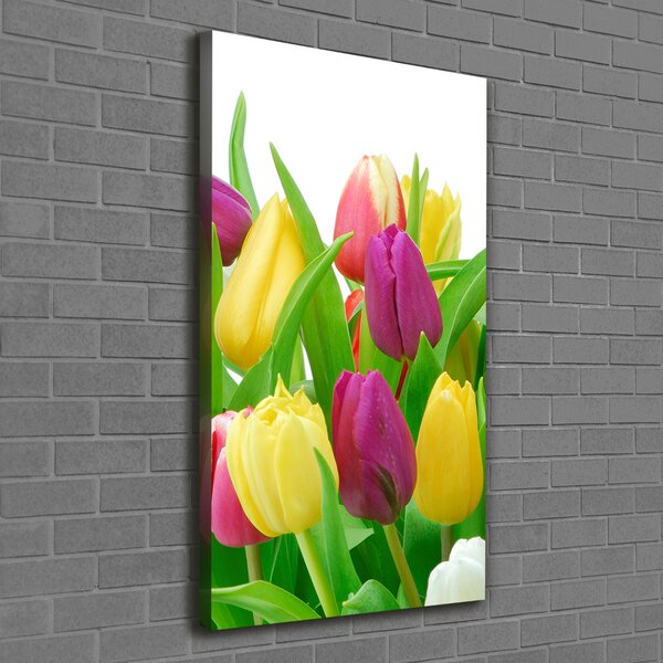 Vertikální Foto obraz na plátně Barevné tulipány ocv-12652067