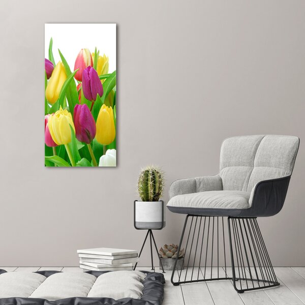 Vertikální Foto obraz na plátně Barevné tulipány ocv-12652067